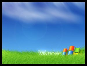 Windows系统的电脑、PC端、Window系统界面